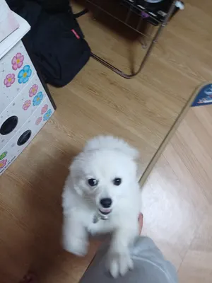 컨텐츠
