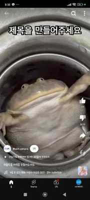 우리반 피구 순위