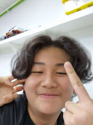 마크 티어