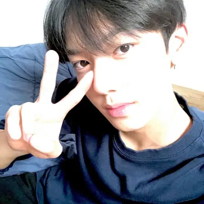 설하의 이상형 월드컵