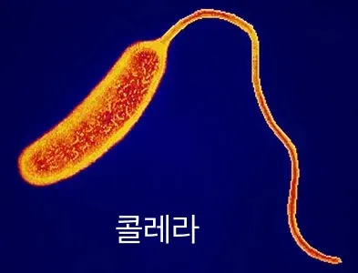 전염병 티어표(전염성)