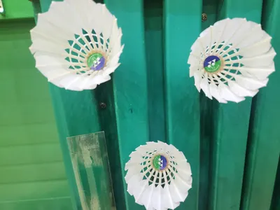라켓뚱보단