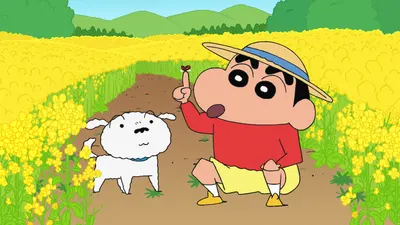티어표