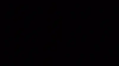 포켓몬카드 덱 티어리스트
