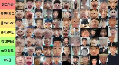 가장 정고아다운 사진