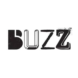 버즈(buzz) 노래 