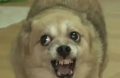 ㅁㄹㅇㄴ