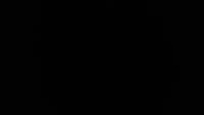 3037774646