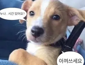 아무개 발로 티어표
