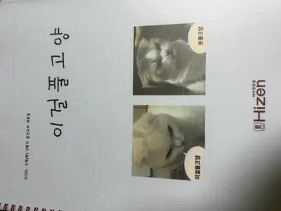 착함 순위