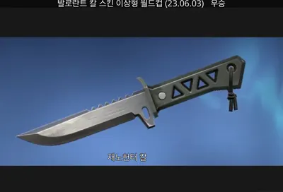 음지인 티어리스트 