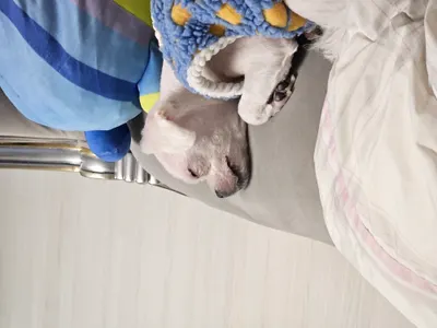 ㅋ