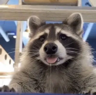 1313