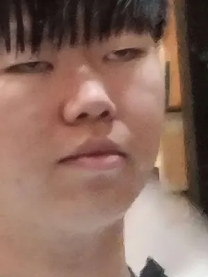 피파