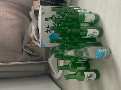 생조디 술 티어