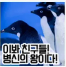 아랫동네 PVP 티어리스트