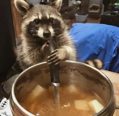 ㅎㅈ