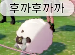 우르 울음소리 티어메이커