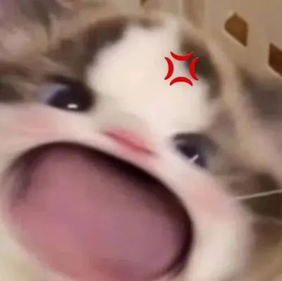 ㄴ