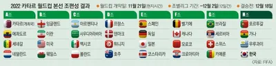 월드컵 티어