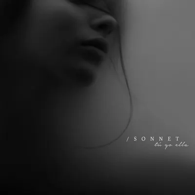 손승연 노래방 번호 (TJ)