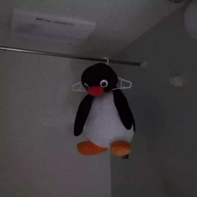 팀컬러 아가리티어